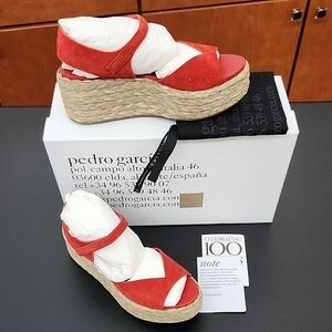 PEDRO GARCIA Nirvana Suede Platform Wedge Sandal